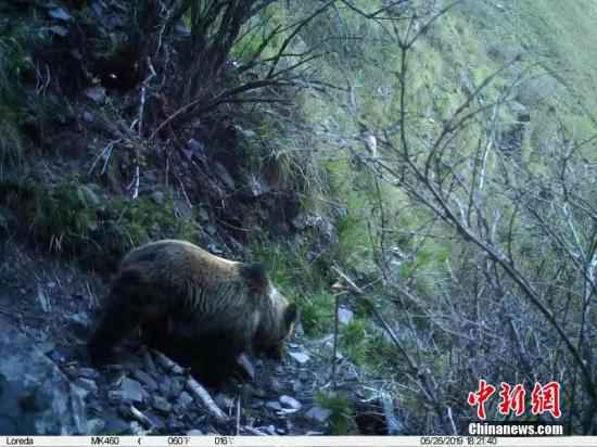 资料图。 山水自然保护中心供图 
   联合国《生物多样性公约》秘书处代理执行秘书
